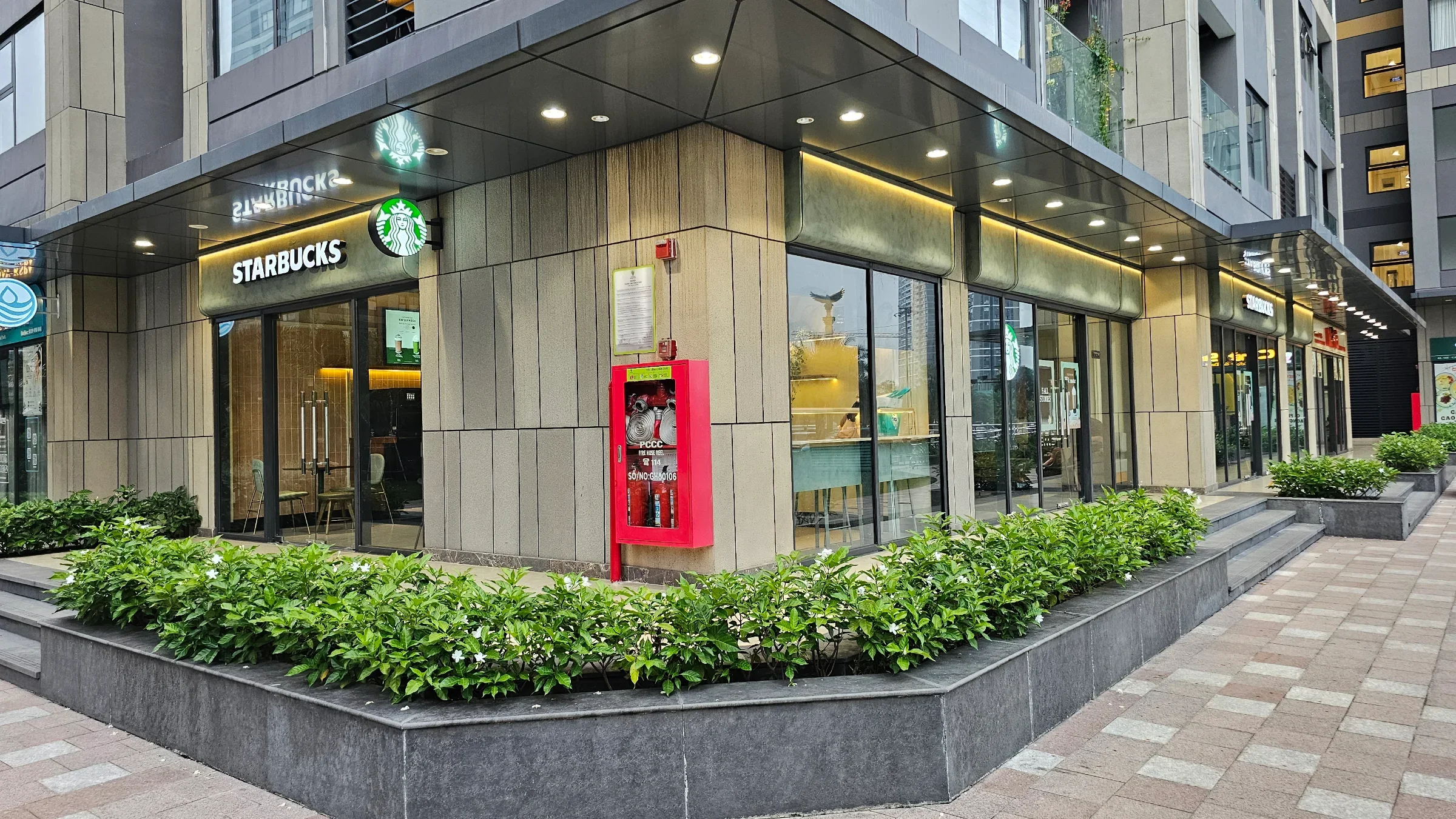 Starbucks - GH6 cover photo